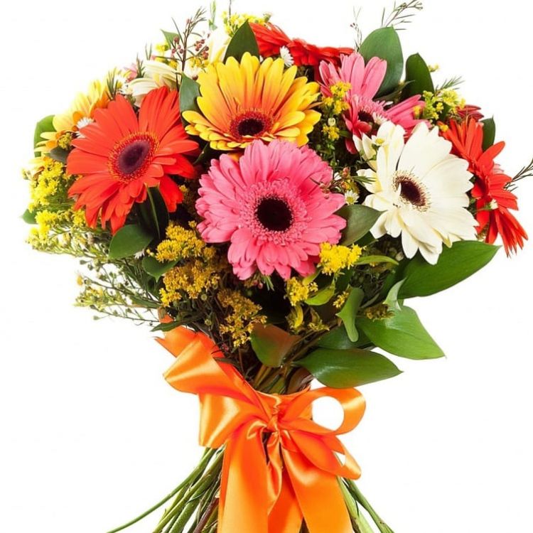 Яркий день от 8 100 руб.